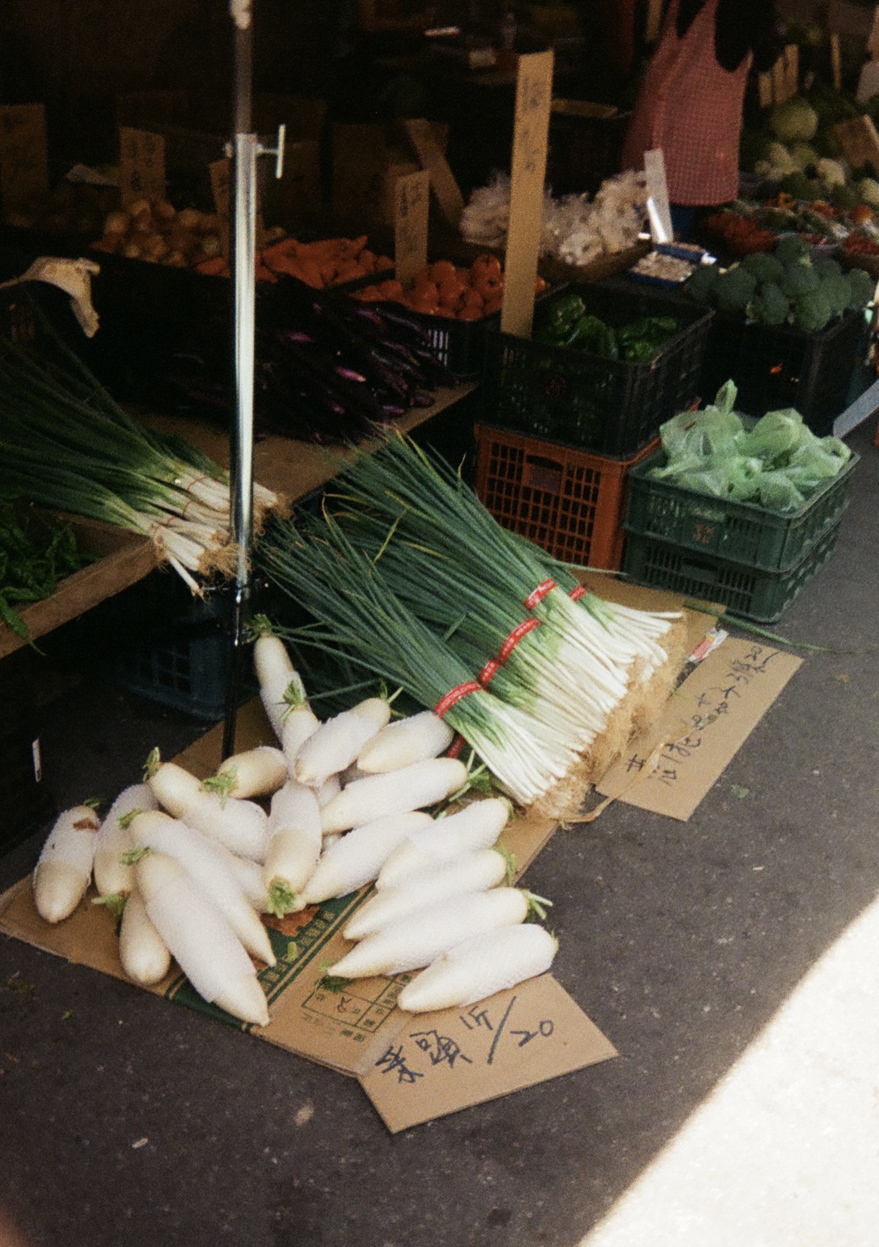 White raddish and huge green onions in a local market